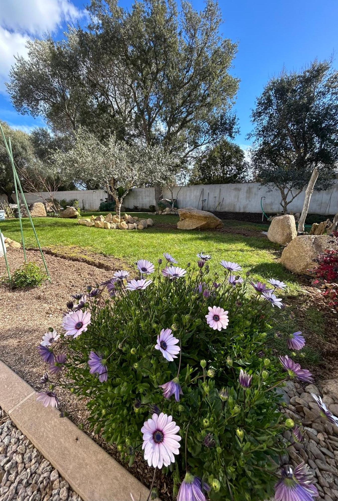 Mini Villa Pascal Paoli Avec Piscine - Proche Mer Prunelli-di-Fiumorbo エクステリア 写真